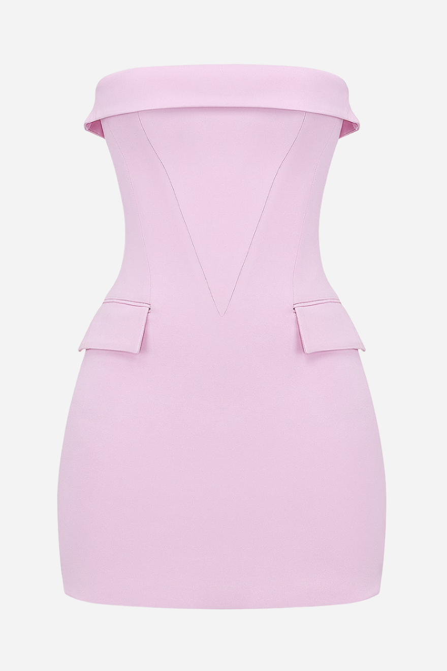 Veronica Blush Mini Dress